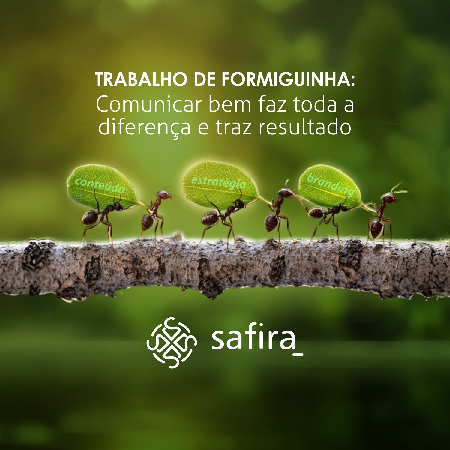 Comunicar bem - resultado de comunicação